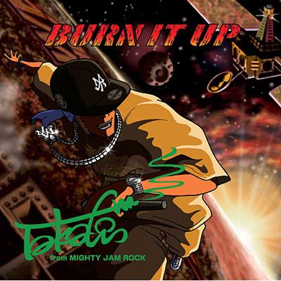 BURN IT UP : TAKAFIN | HMV&BOOKS online - VICL-36066