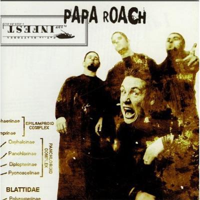 レコード papa roach 直筆サイン入りレコード f.e.a.r. パパローチlp