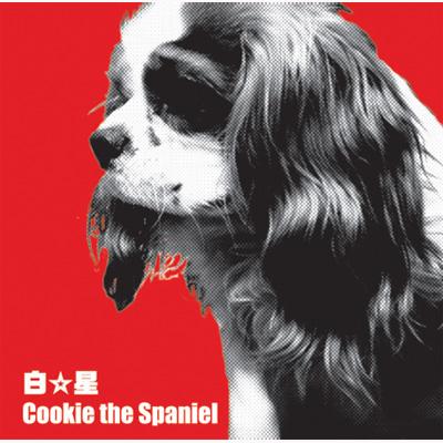 Cookie the Spaniel : 白星 | HMVu0026BOOKS online - MRCD-2