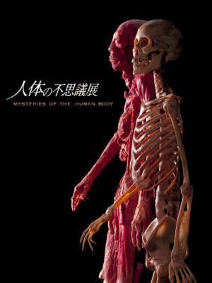 人体の不思議展図録 | HMV&BOOKS online - JINTAI01