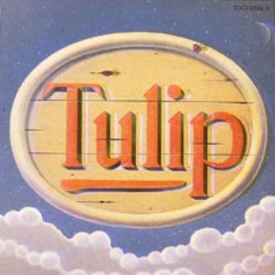 TULIP LAND : TULIP （チューリップ） | HMV&BOOKS online - TOCT-25788