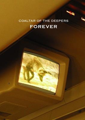 FOREVER : COALTAR OF THE DEEPERS | HMV&BOOKS online - IDBA-1001