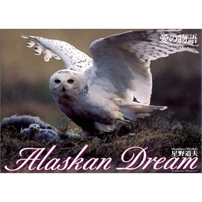 愛の物語 Alaskan Dream 3 | 星野 道夫 |本 | 通販 | Amazon