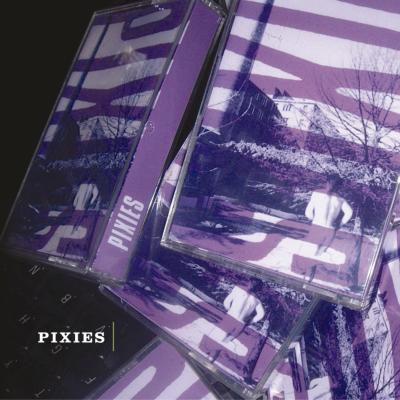 ポケモン PIXIESの希少な４枚組Box １２インチLP - レコード