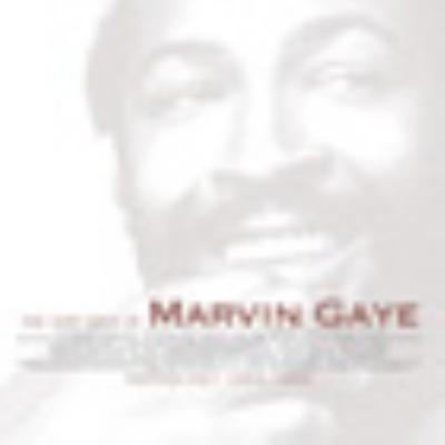 Very Best Of : Marvin Gaye | HMV&BOOKS online - UICY-1271/2