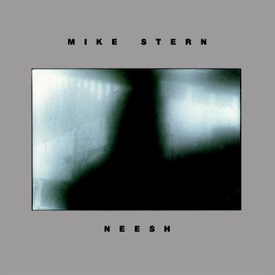 ファット タイム Neesh : Mike Stern | HMV&BOOKS online - ABCJ-309