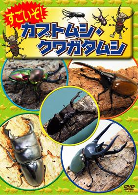 すごいぞ カブトムシ クワガタムシ Hmv Books Online Online Shopping Information Site Kibg 42 English Site