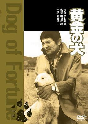 黄金の犬 : 鶴田浩二 / 山根成之 | HMVu0026BOOKS online - DABY-32