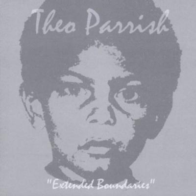 Extended Boundaries : Theo Parrish | HMV&BOOKS online - NUHCD001