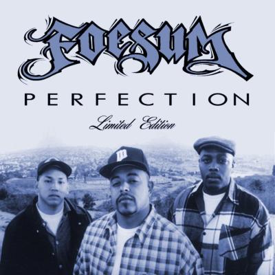 Perfection : Foesum | HMV&BOOKS online - PER83942