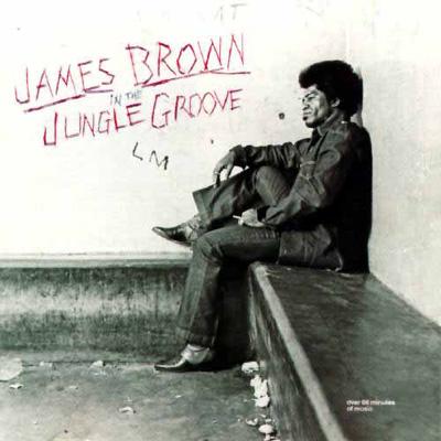 ランキング2024 Brown James : Groove Jungle The In | online HMV&BOOKS 洋楽