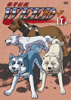 銀河伝説weed: Vol.11 | HMV&BOOKS online - SVDB0137