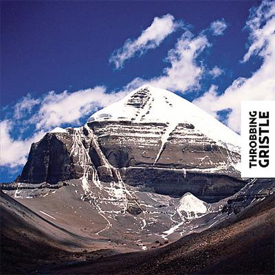 スロッビング・グリッスル　DVD THROBBING GRISTLE２ 美品】 THROBBING GRISTLE スロッビング・グリッスル Taste of