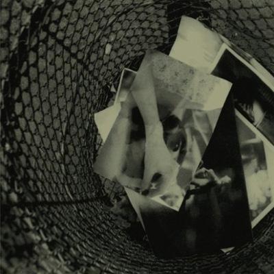 ネガとポジ : Plastic Tree | HMV&BOOKS online - UPCH-9304