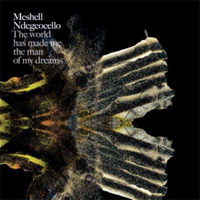 World Has Made Me The Man Of My Dreams : Meshell Ndegeocello