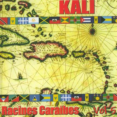 Racines Vol.5: カリブ海一周音楽の旅 : Kali (Latin) | HMV&BOOKS