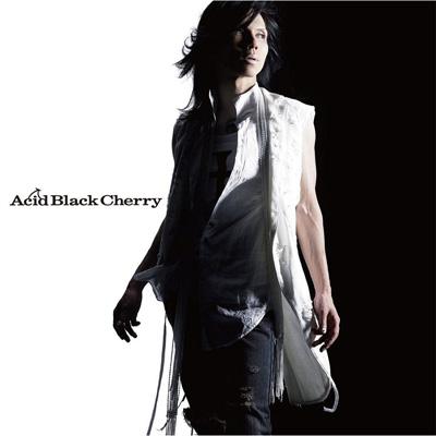 Acid Black Cherry 全シングル DVDつきCD 初回19枚セット