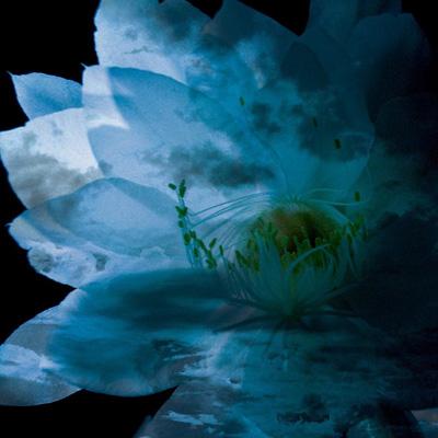 (未使用･未開封品)　LUNA SEA MEMORIAL COVER ALBUM-Re:birth- sdt40b8 Luna Sea Memorial Cover Album -Re:Birth- | HMV&BOOKS online