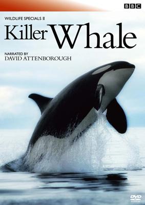 Bbc Wild Life Special 2 Killer Whale : 自然 | HMV&BOOKS online : Online  Shopping & Information Site - GNBW-7482 [English Site]