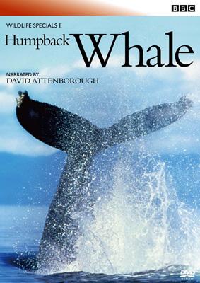 BBC ワイルドライフ・スペシャルII クジラ : 自然 | HMV&BOOKS online