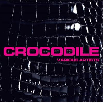 レコード】Crocodile riddim 2枚