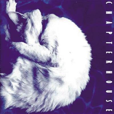 Whirlpool : Chapterhouse | HMV&BOOKS online - VSCD-8040