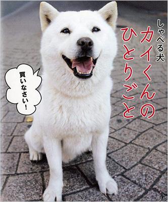 しゃべる犬カイくんのひとりごと ｙｏｓｈｉｍｕｒａｈａｒｕｍｉ Hmv Books Online