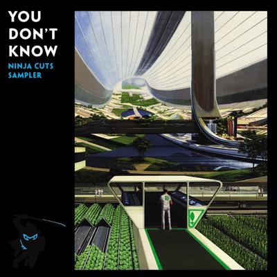 You Don't Know: Ninja Cuts Sampler | HMV&BOOKS online - ZEN12209