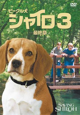 ビーグル犬 シャイロ3 最終章 特別版 Hmv Books Online Dlv