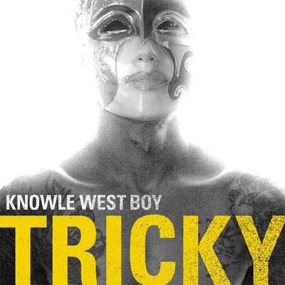TRICKY レコード5枚セット