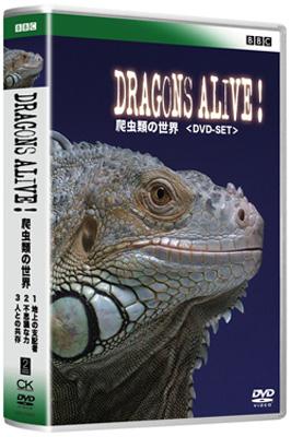 BBC 爬虫類の世界 -DVD-SET : 爬虫類 | HMV&BOOKS online - GNBW-7558