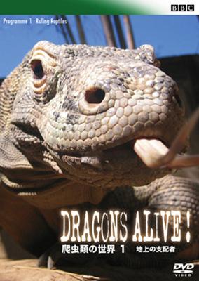 BBC 爬虫類の世界 1 地上の支配者 : 爬虫類 | HMVu0026BOOKS online - GNBW-7559
