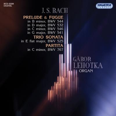 前奏曲とフーガ集、トリオ・ソナタ第１番、パルティータ　レホトカ