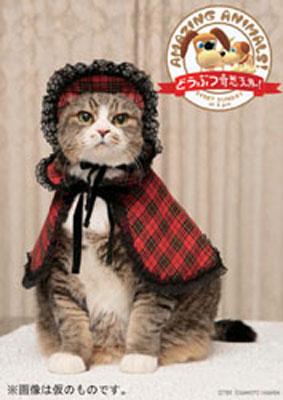 どうぶつ動物奇想天外でぶねこ ぴあちゃん 09年カレンダー Calendar Hmv Books Online Online Shopping Information Site 09cl274 English Site