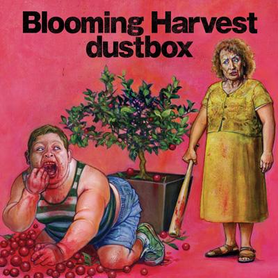 dustbox (ダストボックス) CD アルバム 13枚セットdustbox