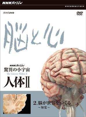 柔らかな質感の DVD-BOX〈6枚組〉 脳と心 人体Ⅱ 驚異の小宇宙 NHK 