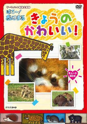 NHK DVD ダーウィンの動物大図鑑 はろ～!あにまる::きょうのかわいい! キュートBOX | HMVu0026BOOKS online -  PCBE-63111