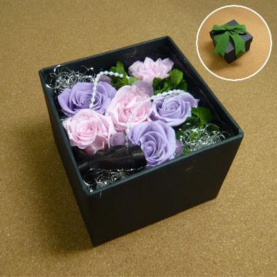 �v���U�[�u�h�t�����[ +Capsule �umore! More! More!�v