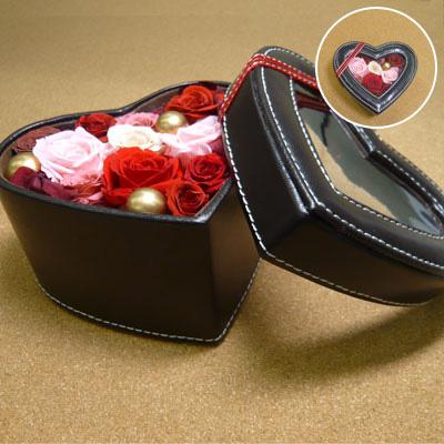 �v���U�[�u�h�t�����[ +Beyonce �ui Am...Sasha Fierce�v