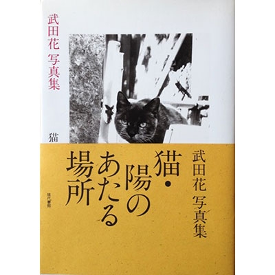 猫 陽のあたる場所 武田花写真集 武田花 Hmv Books Online