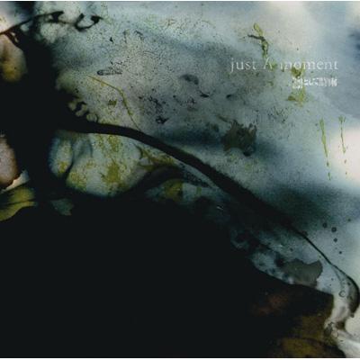 just A moment : 凛として時雨 | HMV&BOOKS online - AICL-2014