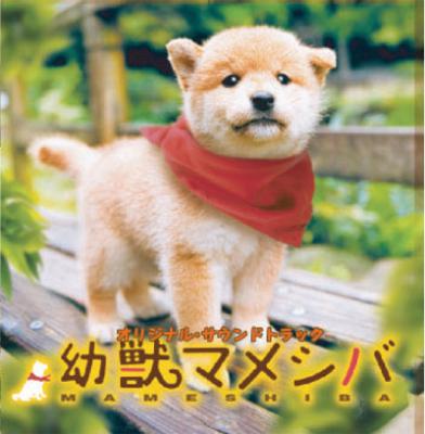 幼獣マメシバ Original Soundtrack | HMV&BOOKS online - AMG-7005