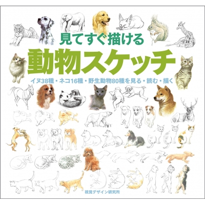 動物を描く 見てすぐ描ける動物スケッチ イヌ38種・ネコ16種・野生動物80種