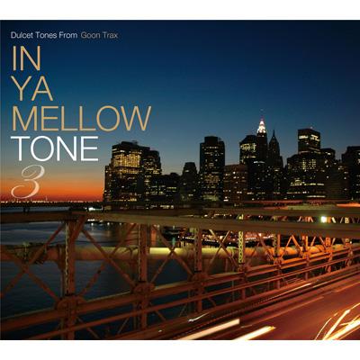 IN YA MELLOW TONE 3 | HMV&BOOKS online - GTXC-30