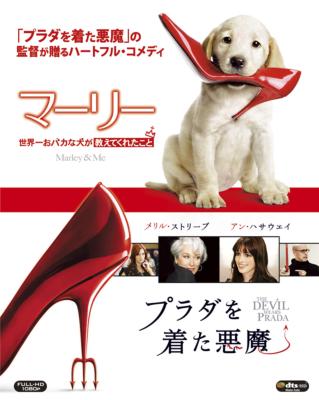 Amazon.co.jp: 『マーリー 世界一おバカな犬が教えてくれたこと