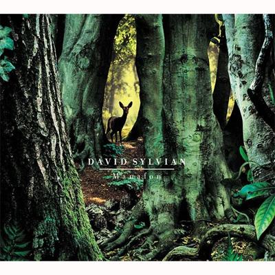 Manafon : David Sylvian | HMV&BOOKS online - SS016