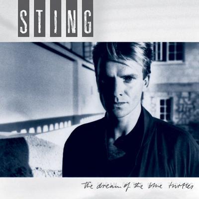 レビュー高評価の商品!の商品をすべて Blue The Of Dream Turtles: Sting : ブルータートルの夢 タイムセール