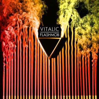 Flashmob : Vitalic | HMV&BOOKS online - 37