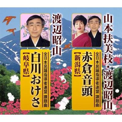 訳あり ジャンク ネオジオCDZ オマケ付き