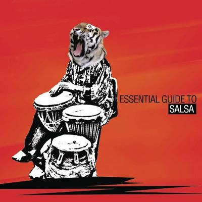 Essential Guide To Salsa
